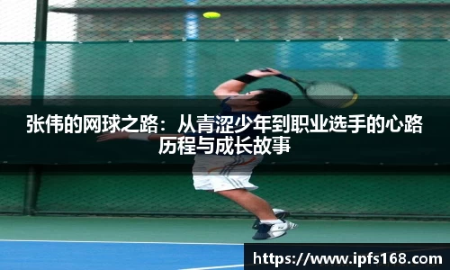 3377体育官网